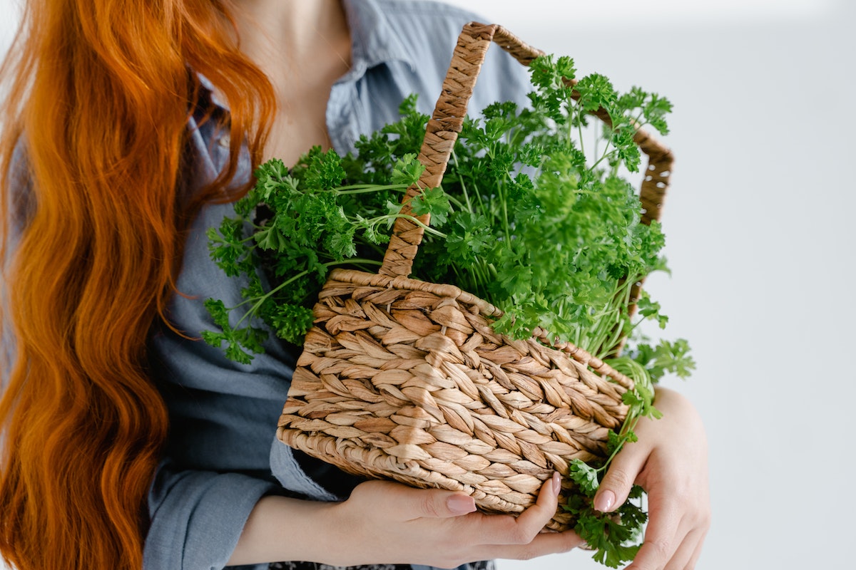 Luteolinban gazdag fűszernövényekkel teli kosarat tartó nő. A luteolin egészségügyi előnyei és 10 legkiválóbb természetes forrása
